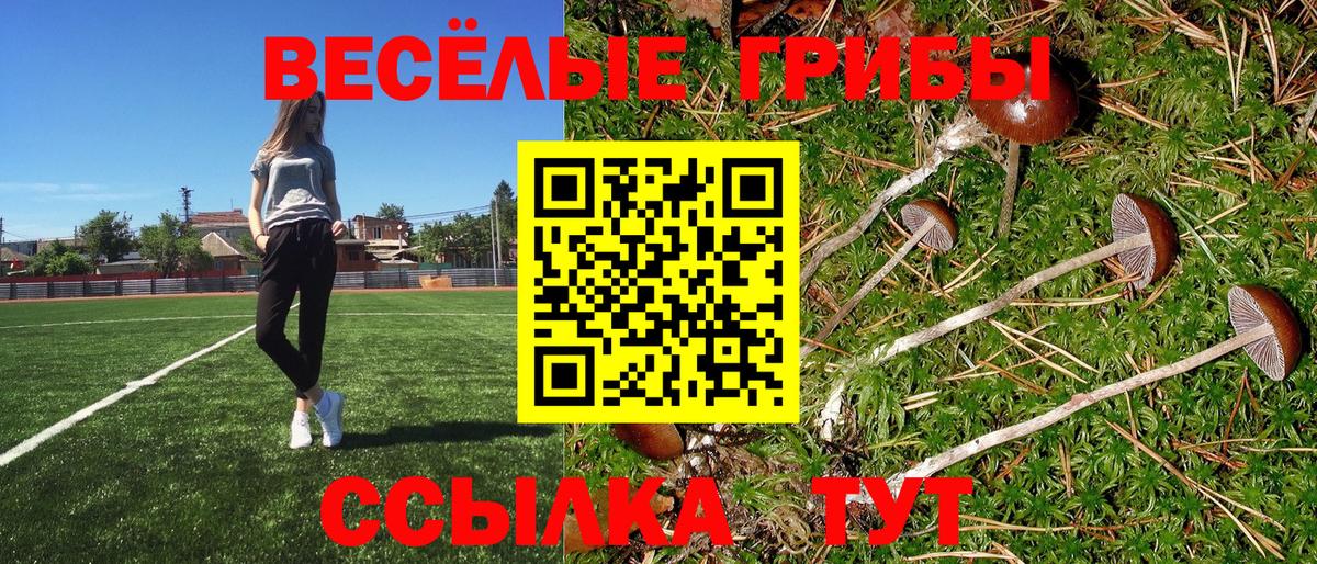 Бошки Шишки Обнинск