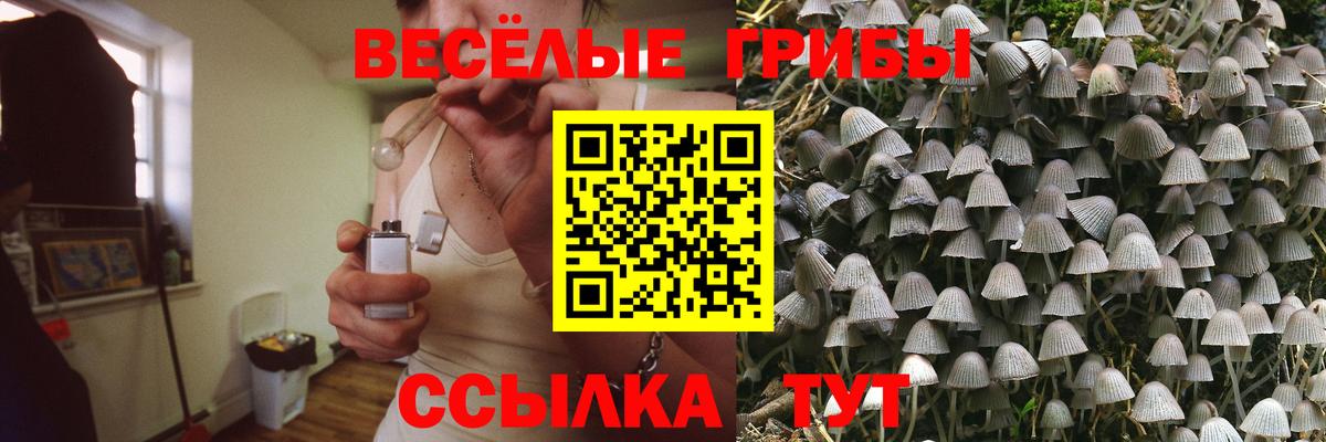Галлюциногенные грибы Magic Shrooms  Вход с VPN  Обнинск  Галлюциногенные грибы Psilocybe 